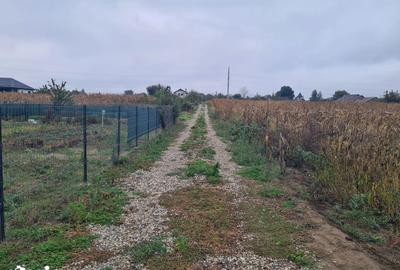 Teren de 1100 mp, în Central