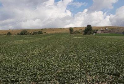 Teren de 21000 mp, în Central - 7