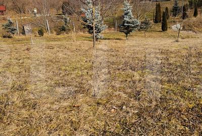 Casă cu 3 camere cu Teren 2000 Mp în Arcuș - 1