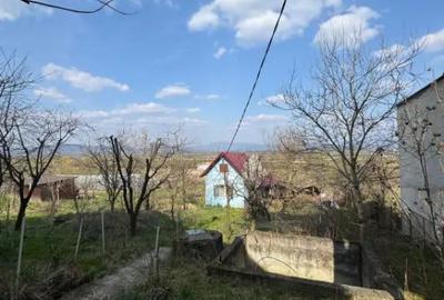 Casă cu 3 camere cu Teren 3300 Mp în Coltău - 4