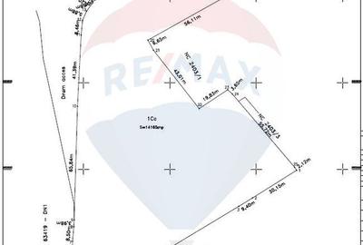 Teren Construcții intravilan de 14165 mp, în Ciolpani - 10