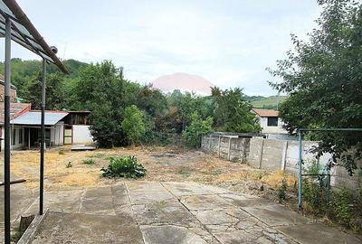 Casa pe un nivel in Medias, teren 533 mp, curte dreapta - 13