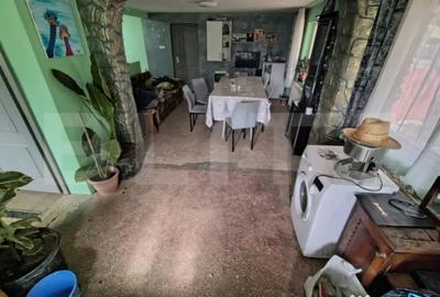 Casă cu 3 camere cu Teren 3088 Mp în Viile Satu Mare - 3