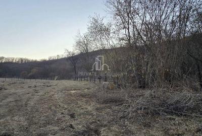 Teren de vanzare, 20.000Mp , Comuna Danes, drumul Crisului - 3