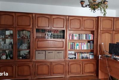 Apartament cu 2 camere decomandat, mobilat în Brazda lui Novac - 2
