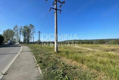 Vanzare teren intravilan situat in Rovinari - zona Autoliv - 3