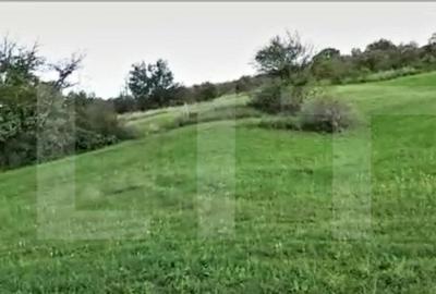 Teren intravilan ,4039 mp,in cartierul Borhanci - 4