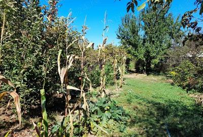 Casă cu 3 camere în Gruiu - 1