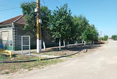 Casă cu 4 camere în Pilu - 4