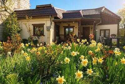 Casă individuală cu 4 camere cu Canalizare în Chitila - 1