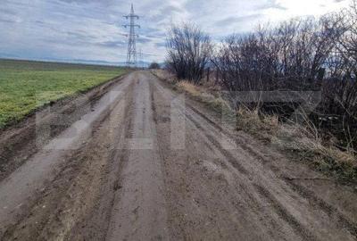 Teren de 1500 mp, în Central - 5