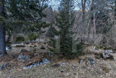 Casa de vacanta de vanzare in Rasnov - Brasov - 14