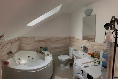 Apartament 3 camere -Baia Mare - 3