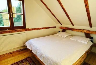 Casă cu 3 camere cu Teren 10000 Mp în Feldru - 3