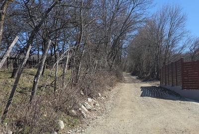 Spațiu comercial, în Zmeurătu - 2