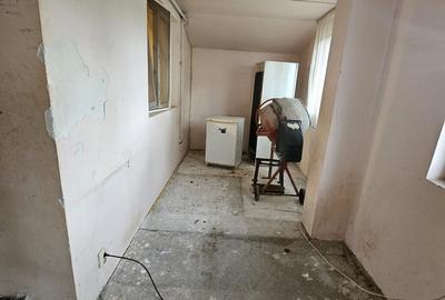 Snagov, Ciofliceni - 17