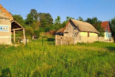 Teren de 4591 mp, în Crivobara - 4