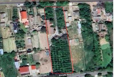 Casă cu 4 camere în Făclia - 1