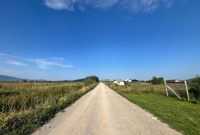 TEREN INTRAVILAN, HARMAN TEREN INTRAVILAN, HARMAN - 2