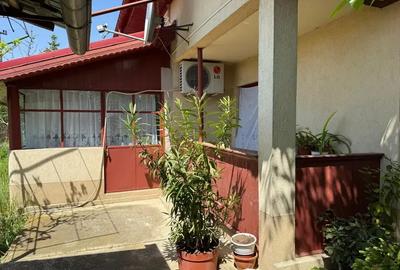 Casă cu 3 camere cu Teren 4000 Mp în Letca Nouă - 10