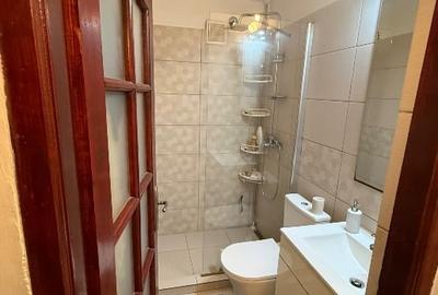 Apartament cu 2 camere decomandat, mobilat în Buziașului - 5
