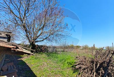 Casă cu 3 camere cu Teren 2175 Mp în Vinga - 13