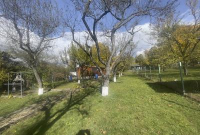 Casute Breaza, teren 1140 mp Casute Breaza, teren 1140 mp - 18