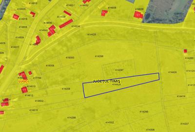 4.168 mp teren extravilan in Dealul Viilor - 2