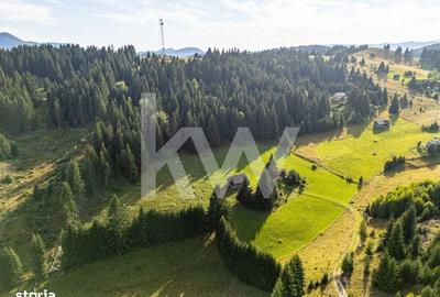Teren de 18044 mp, în Dâmbovicioara - 10