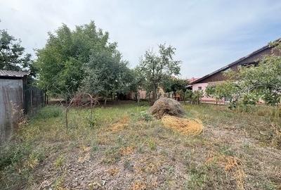 Casă individuală de vânzare, Mircea cel Bătrân, Timișoara - 7