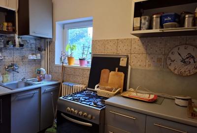Casă individuală cu 2 camere cu Canalizare în Domenii - 13