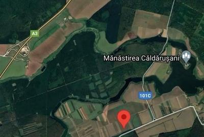 Teren de 10000 mp, în Lipia - 1