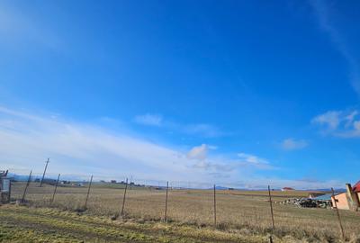 Teren intravilan - Halchiu, construire locuinte individuale - 2