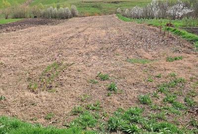 Vand casa la tara - 3