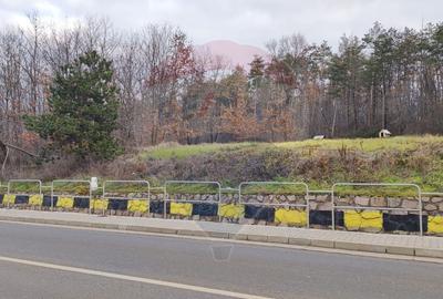 Oportunitate investitie B. Felix teren intravilan cu PUZ 1157 mp DN 76 - 11