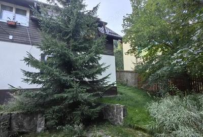 Casă cu 11 camere cu Teren 1560 Mp în Moieciu - 5