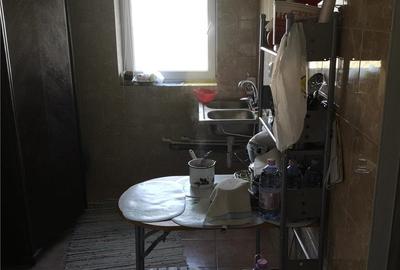 Casă cu Teren 5060 Mp în Vispești - 4