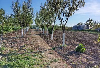 Casă cu 4 camere în Moara Mocanului - 6