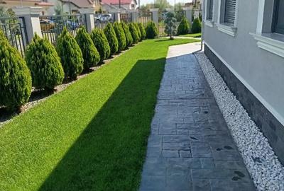 Casă în Săcălaz - 6