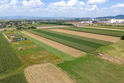 Teren de vanzare - Zona Stupini - COMISION 0% - 7