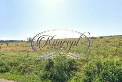 Teren intravilan in Salicea Teren intravilan in Salicea - 2