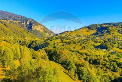 COMISION 0% Teren 10,594mp Pestera /Intravilan - 10