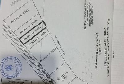 Teren de 1150 mp, în Dâmbul Morii