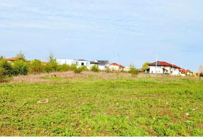 Paradisul Verde-Corbeanca,intravilan,10300mp,deschidere lac-120m,view deosebit - 5