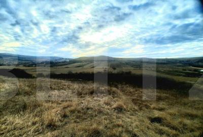 Teren de 2900 mp, în Sopor