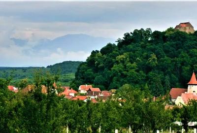 Parcele Teren cu PUZ si toate utilitatile / Cisnadioara-Sibiu - 13