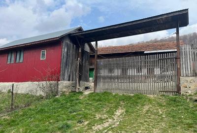 Casă cu Teren 2000 Mp în Terca - 1