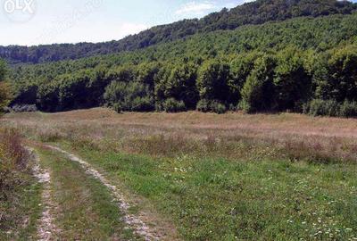 Teren de 30000 mp, în Nord - 1