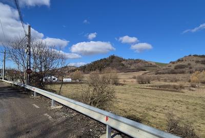 Teren Construcții extravilan de 10000 mp, în Nord-Est - 2