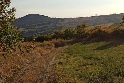 Teren de 21000 mp, în Jugureni - 5